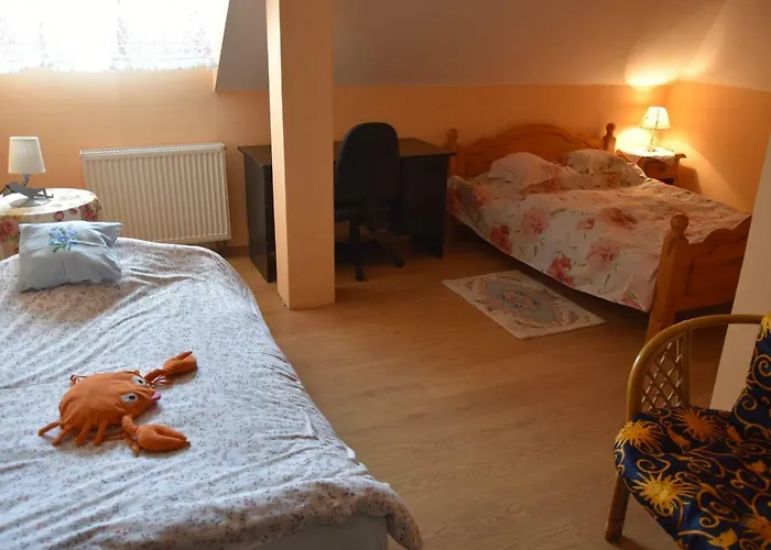 Comfortable House With Garden *